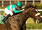 Zenyatta Appreciation Day at Hollywood Dec. 5 Zenyatta Appreciation Day at Hollywood Dec. 5