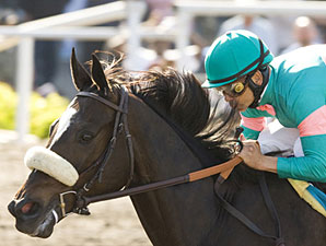 Zenyatta is a Perfect 10 After Milady Score Zenyatta is a Perfect 10 After Milady Score