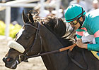 Zenyatta is a Perfect 10 After Milady Score