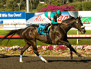 Will Weight Disadvantage Stop Zenyatta? Will Weight Disadvantage Stop Zenyatta?