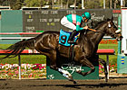 Zenyatta Would Be Favored in BC Classic
