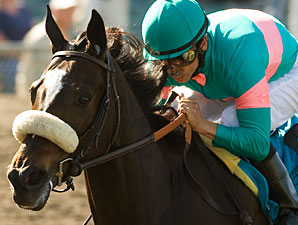Zenyatta, Eskendereya Top First NTRA Polls Zenyatta, Eskendereya Top First NTRA Polls