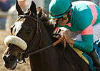 Zenyatta Turns in Sharp Work at Hollywood Zenyatta Turns in Sharp Work at Hollywood