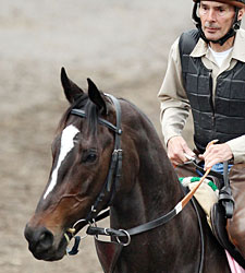 No Rachel, But Zenyatta's Show Goes On No Rachel, But Zenyatta's Show Goes On