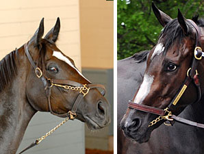 Eclipse Awards Finalists Announced Eclipse Awards Finalists Announced