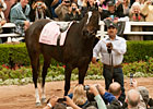 Slideshow: Farewell, Zenyatta