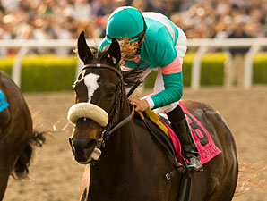 Zenyatta Weaves to 15th Win in a Row Zenyatta Weaves to 15th Win in a Row