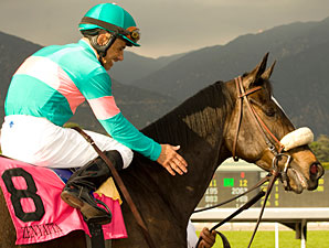 Zenyatta Fires Bullet at Hollywood Zenyatta Fires Bullet at Hollywood