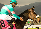 Zenyatta Fires Bullet at Hollywood Zenyatta Fires Bullet at Hollywood