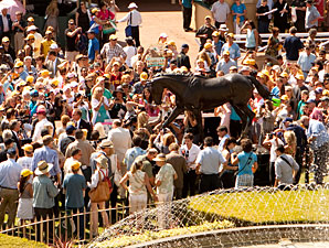 Fans Come Out Early to See Zenyatta Statue Fans Come Out Early to See Zenyatta Statue