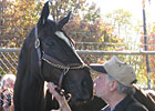 Haskin: Zenyatta Stirred the Emotions