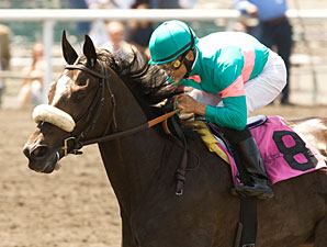 Zenyatta 'Definitely' Leaning Toward Classic Zenyatta 'Definitely' Leaning Toward Classic