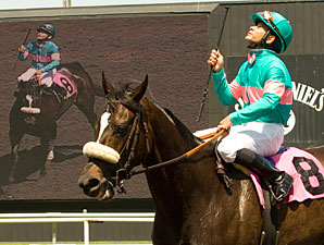 Zenyatta Weighted at 127 For Santa Margarita Zenyatta Weighted at 127 For Santa Margarita
