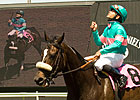 Zenyatta Weighted at 127 For Santa Margarita Zenyatta Weighted at 127 For Santa Margarita