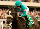 Zenyatta in Weekly Workout at Hollywood Park Zenyatta in Weekly Workout at Hollywood Park