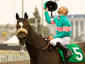 Zenyatta Covers Five Furlongs at Hollywood Zenyatta Covers Five Furlongs at Hollywood