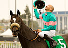 Zenyatta, Rachel Halters Total $8,777 in Bids Zenyatta, Rachel Halters Total $8,777 in Bids
