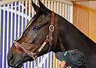 Countdown to the Cup: Classic Appeal