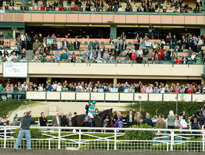 Zenyatta to be Honored at Santa Anita Zenyatta to be Honored at Santa Anita
