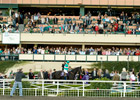 Zenyatta to be Honored at Santa Anita