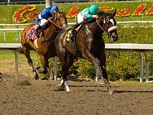 Zenyatta One to Beat in Ladies Classic Zenyatta One to Beat in Ladies Classic