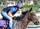Six Try to Make the Grade in Santa Ysabel
