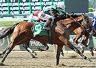 New York-Breds Zivo, Captain Serious Score New York-Breds Zivo, Captain Serious Score