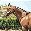 Veteran Sires Lead Way at Keeneland