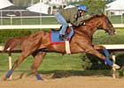 Adriano Puts in Five-Furlong Drill 