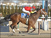 Affirmed Success Ready to Defend Carter Title Affirmed Success Ready to Defend Carter Title