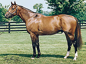 Albert the Great to Pin Oak Lane Albert the Great to Pin Oak Lane