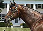 Aldebaran Headed to Japan