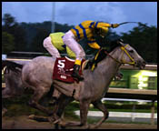 Homeister Makes History in Puerto Rico; Wins Clasico del Caribe Homeister Makes History in Puerto Rico; Wins Clasico del Caribe