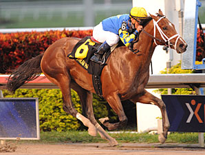 Pletcher Pair Work for Fountain of Youth Pletcher Pair Work for Fountain of Youth