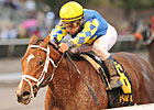 Algorithms: Putting the Horse First Pays Off Algorithms: Putting the Horse First Pays Off