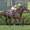 Alinghi Has First Foal By Hussonet Alinghi Has First Foal By Hussonet