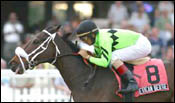 San Dare, Allamerican Bertie Win Gulfstream Stakes San Dare, Allamerican Bertie Win Gulfstream Stakes