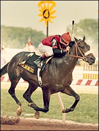 Preakness Winner Aloma's Ruler Dead at Age 24 Preakness Winner Aloma's Ruler Dead at Age 24