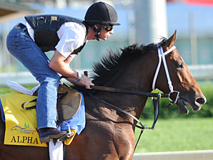 Alpha Will Take Pass on Belmont Stakes Alpha Will Take Pass on Belmont Stakes