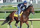 Haskin's Derby Report: Early Overlays