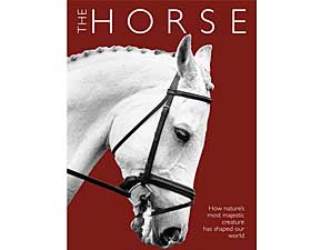 Horse Exhibit to Open at NY Museum Horse Exhibit to Open at NY Museum