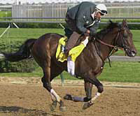 Anees Retired to Mill Ridge; Fee $15,000 Anees Retired to Mill Ridge; Fee $15,000