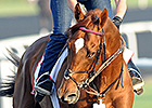 A Look at Today's Broodmare Sires A Look at Today's Broodmare Sires