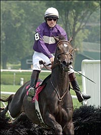 Anofferucantrefuse Can't Be Denied in A.P Smithwick Anofferucantrefuse Can't Be Denied in A.P Smithwick