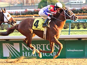 Suburban Handicap Full of Intrigue Suburban Handicap Full of Intrigue