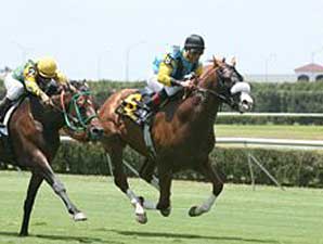 A.P. Magic Recovers from Injury A.P. Magic Recovers from Injury