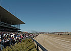 No Racing at Aqueduct Jan. 12 No Racing at Aqueduct Jan. 12