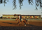 NYRA, Casino Firm Have Aqueduct Dining Deal NYRA, Casino Firm Have Aqueduct Dining Deal