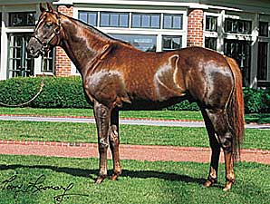Aragorn Sires First Foal Aragorn Sires First Foal