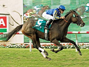 Horse of the Year Arravale Retired Horse of the Year Arravale Retired